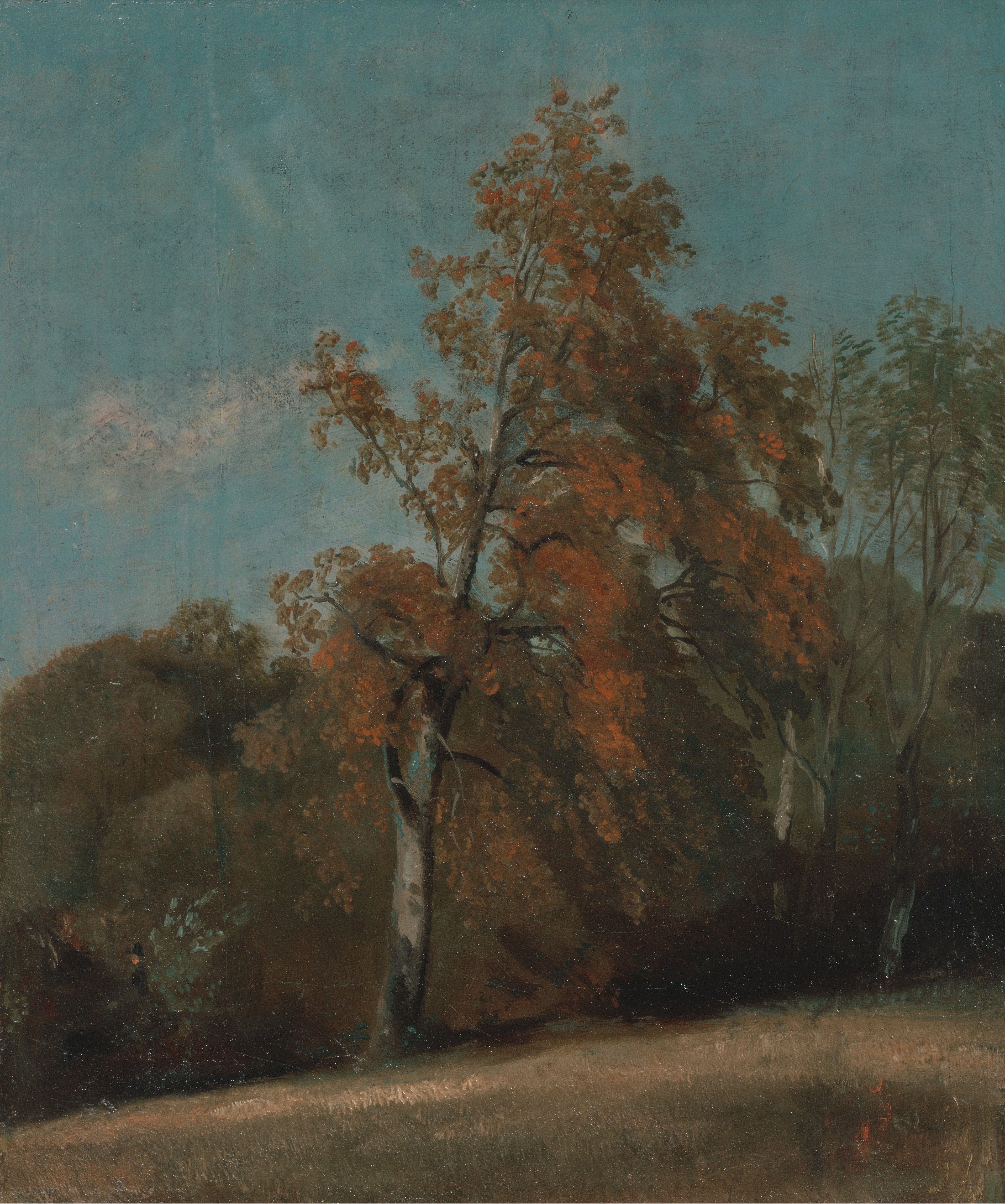 Étude d'un frêne - John Constable
