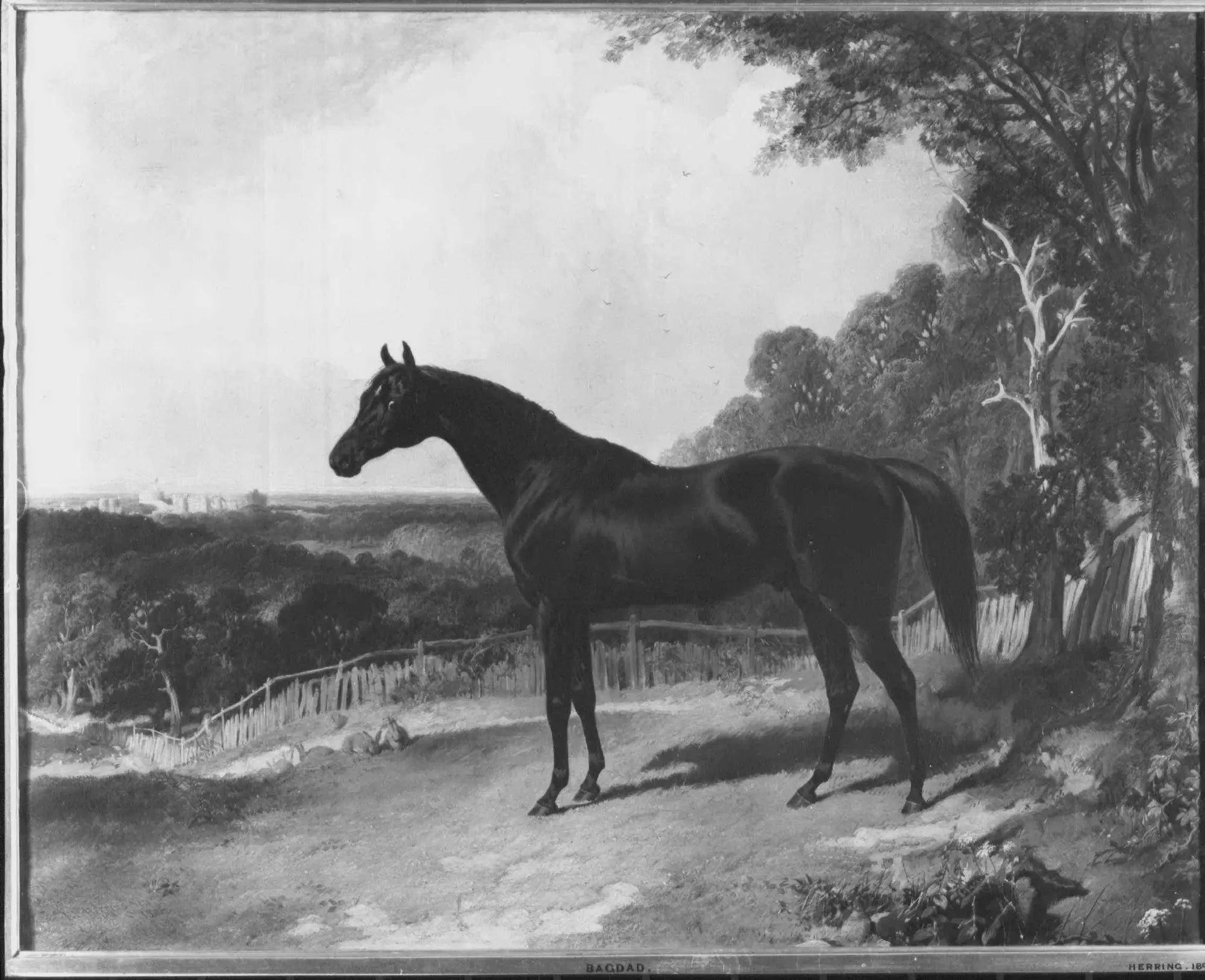 Bagdad - John Frederick Herring Sr. - Alpha Reproduction