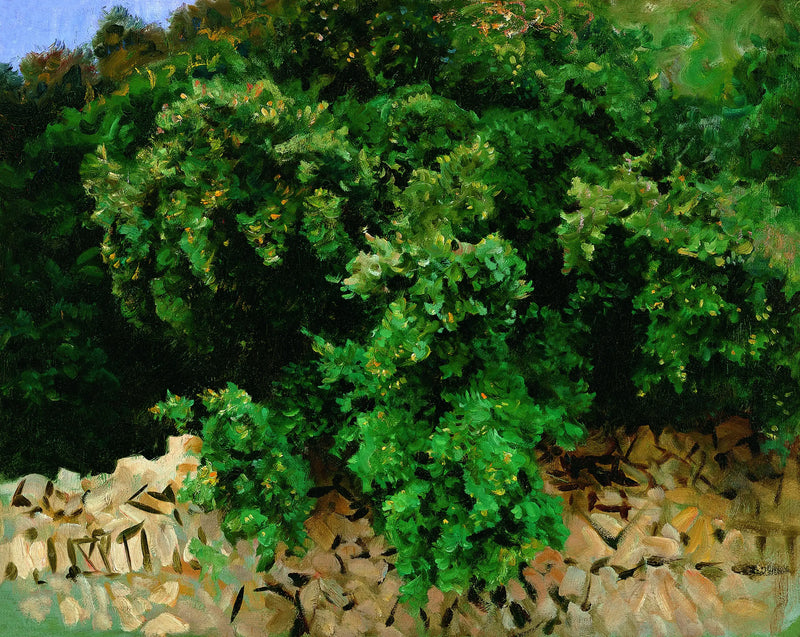 Dřevo z Ilexu. Mallorca - John Singer Sargent