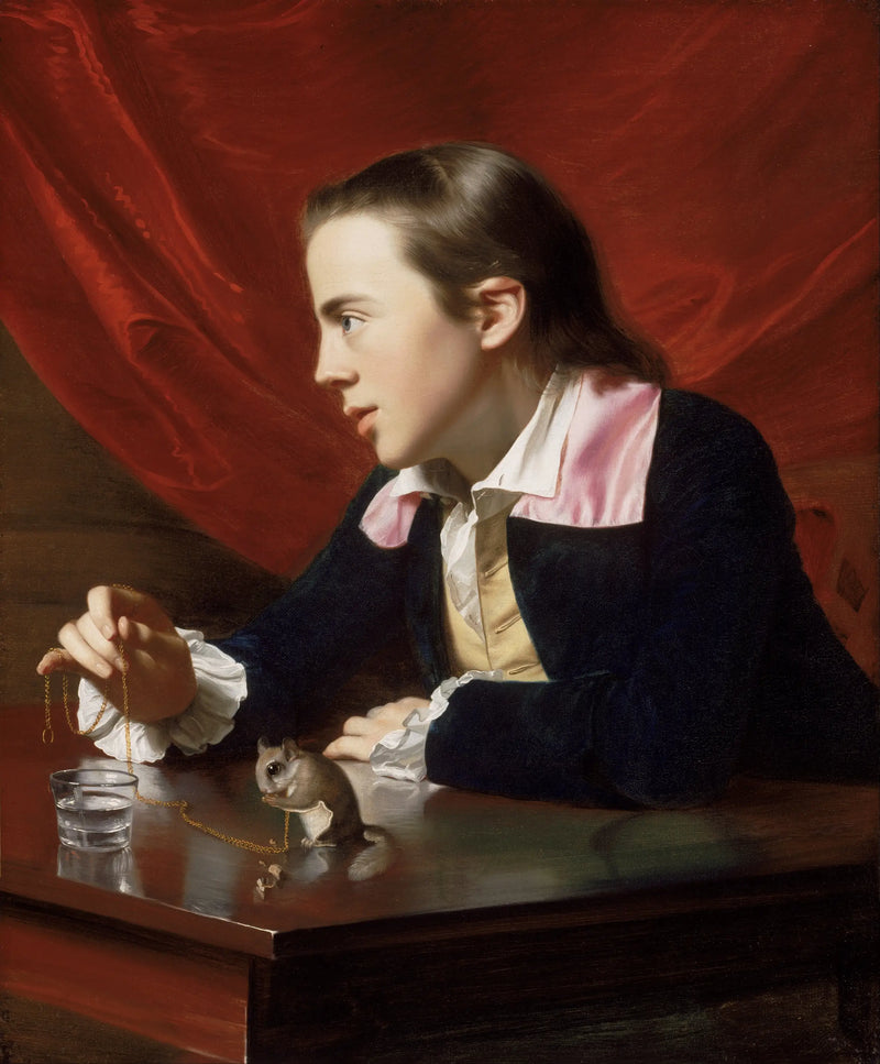 Chlapec se sýkorkou - John Singleton Copley