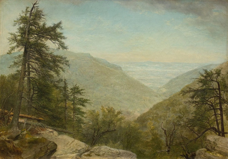Hřebíček z Kaaterskill - Asher Brown Durand