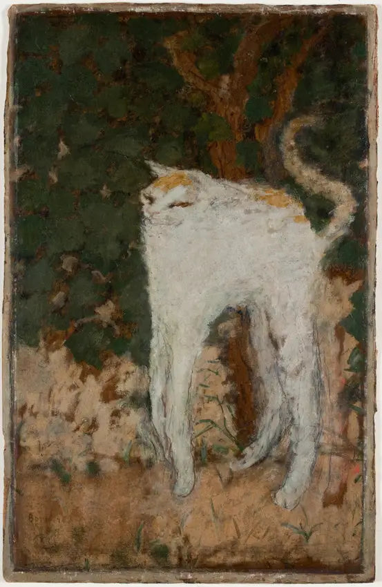 Bílá kočka - Pierre Bonnard