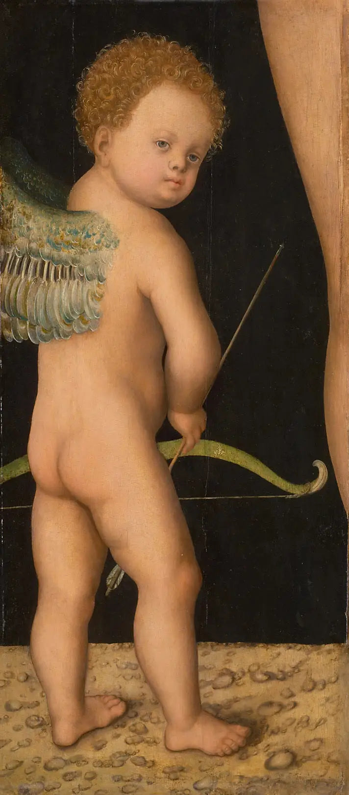 Cupidon - Lucas Cranach the Elder - Alpha Reproduction