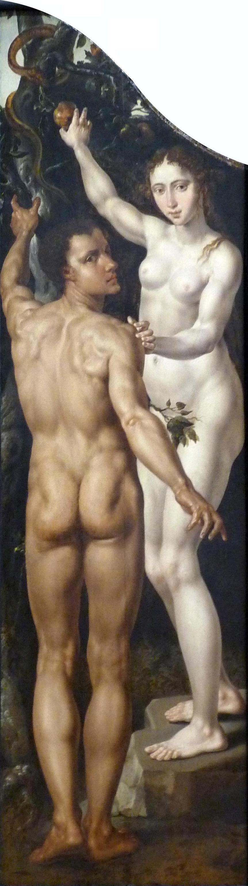 Adam et Ève - Maarten van Heemskerck