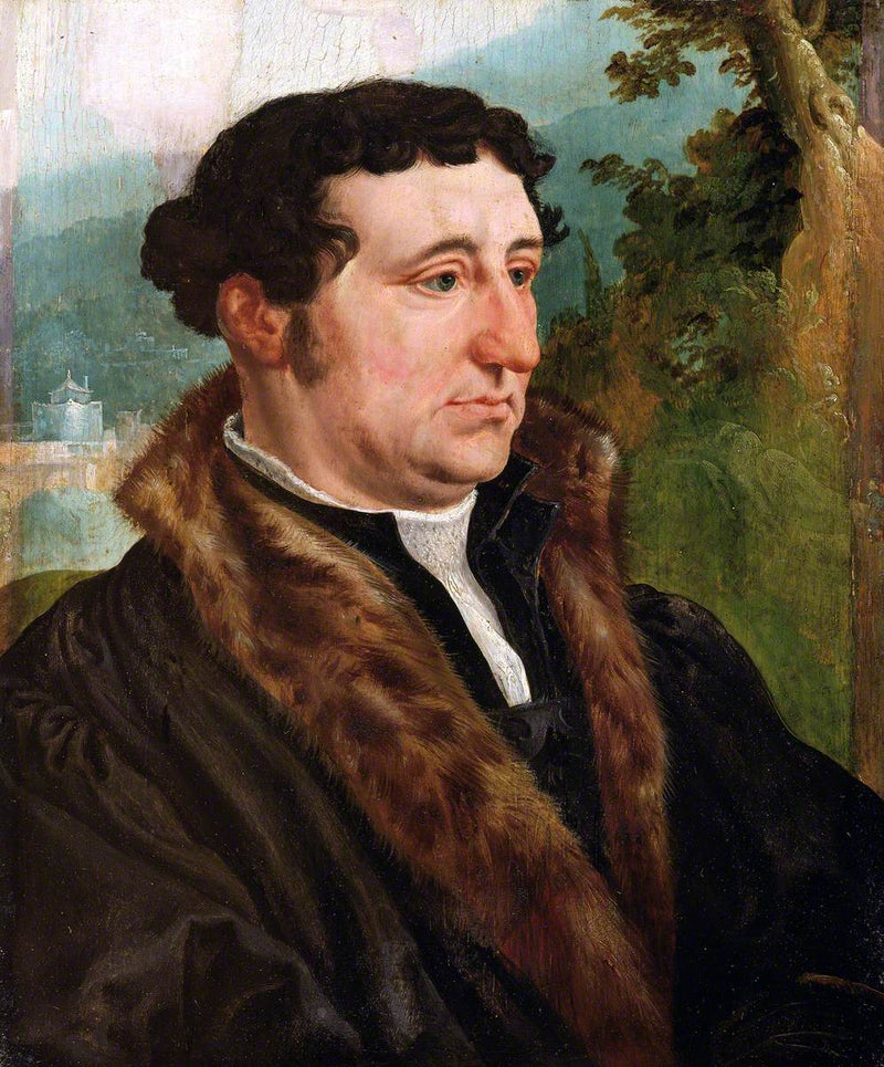 Portrait d'un homme - Maarten van Heemskerck