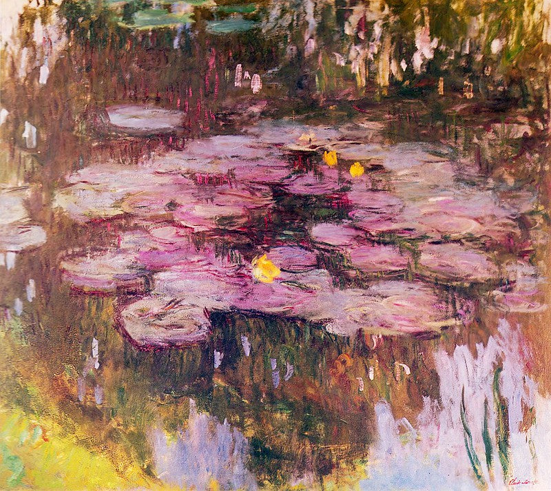 🌸 Lekníny se zlatavými a růžovými odlesky