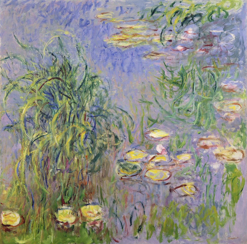 🎨 Lekníny s odrazy a pohybující se vegetací