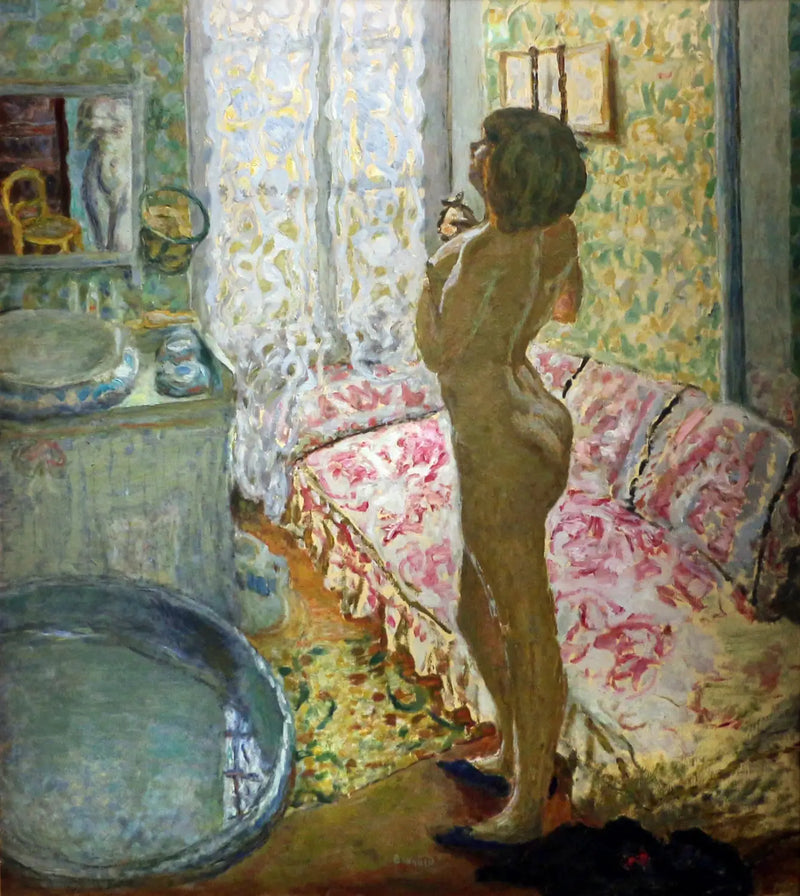 Akt proti světlu - Pierre Bonnard