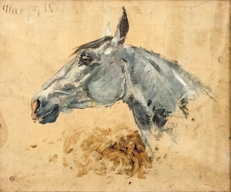 Bílý kůň Gazelle - Henri de Toulouse-Lautrec