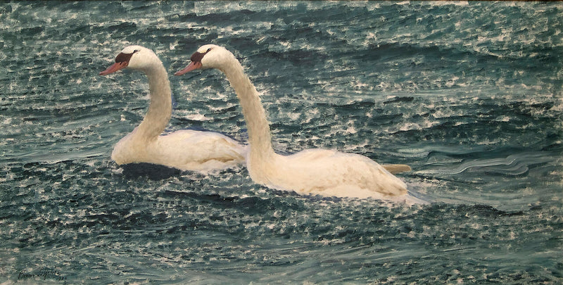 Cygnes - Bruno Liljefors
