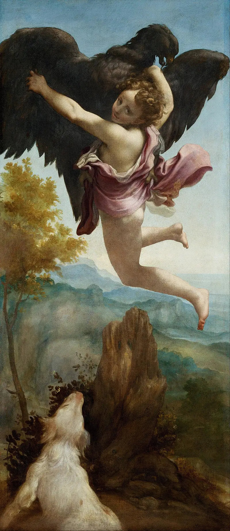 Odstranění Ganymeda - Antonio da Correggio