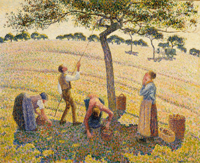 Sklizeň jablek v Éragny - Camille Pissarro