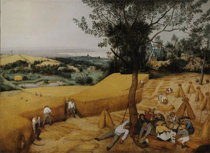 Sklízecí práce - Pieter Brueghel starší