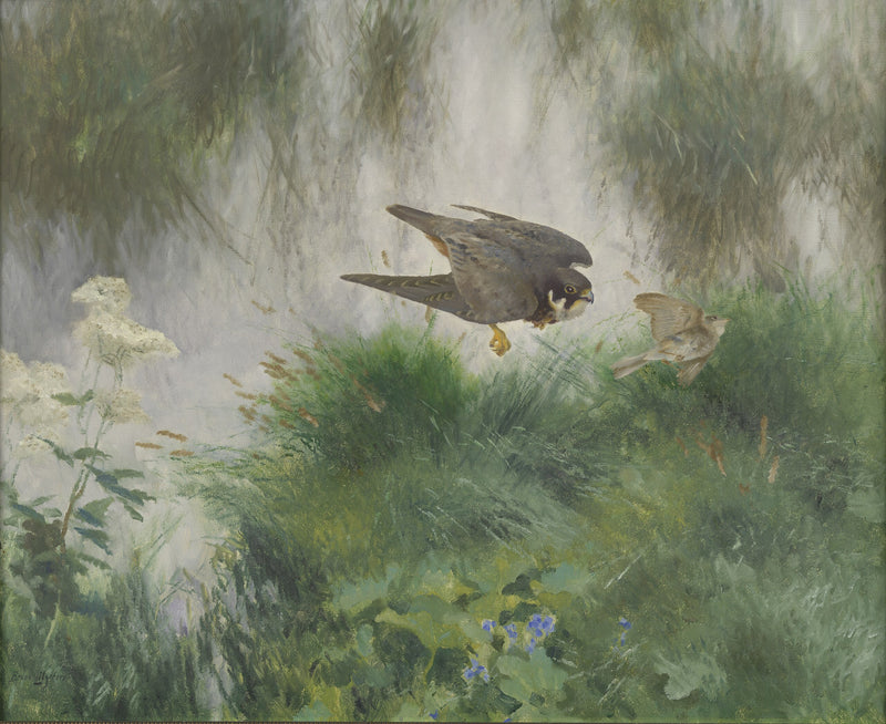 Q43083176 - Bruno Liljefors