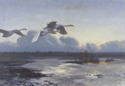 Q43084881 - Bruno Liljefors