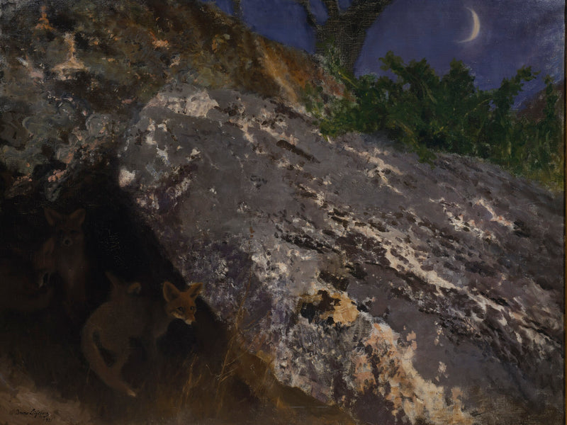 Renardeaux - Bruno Liljefors