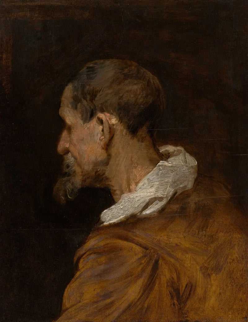 Vedoucí studie - Antoine van Dyck