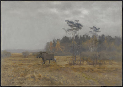 Un élan traversant un marais en Suède - Bruno Liljefors