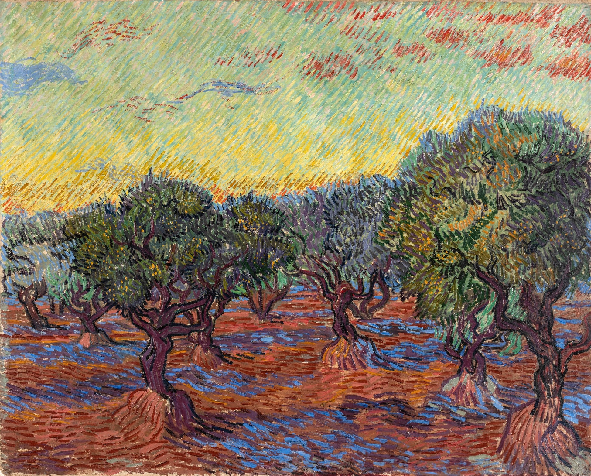 Olivový háj, Saint-Rémy - Vincent van Gogh