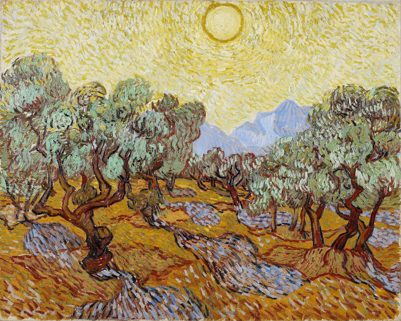 Olivovníky s žlutou oblohou a sluncem - Vincent van Gogh