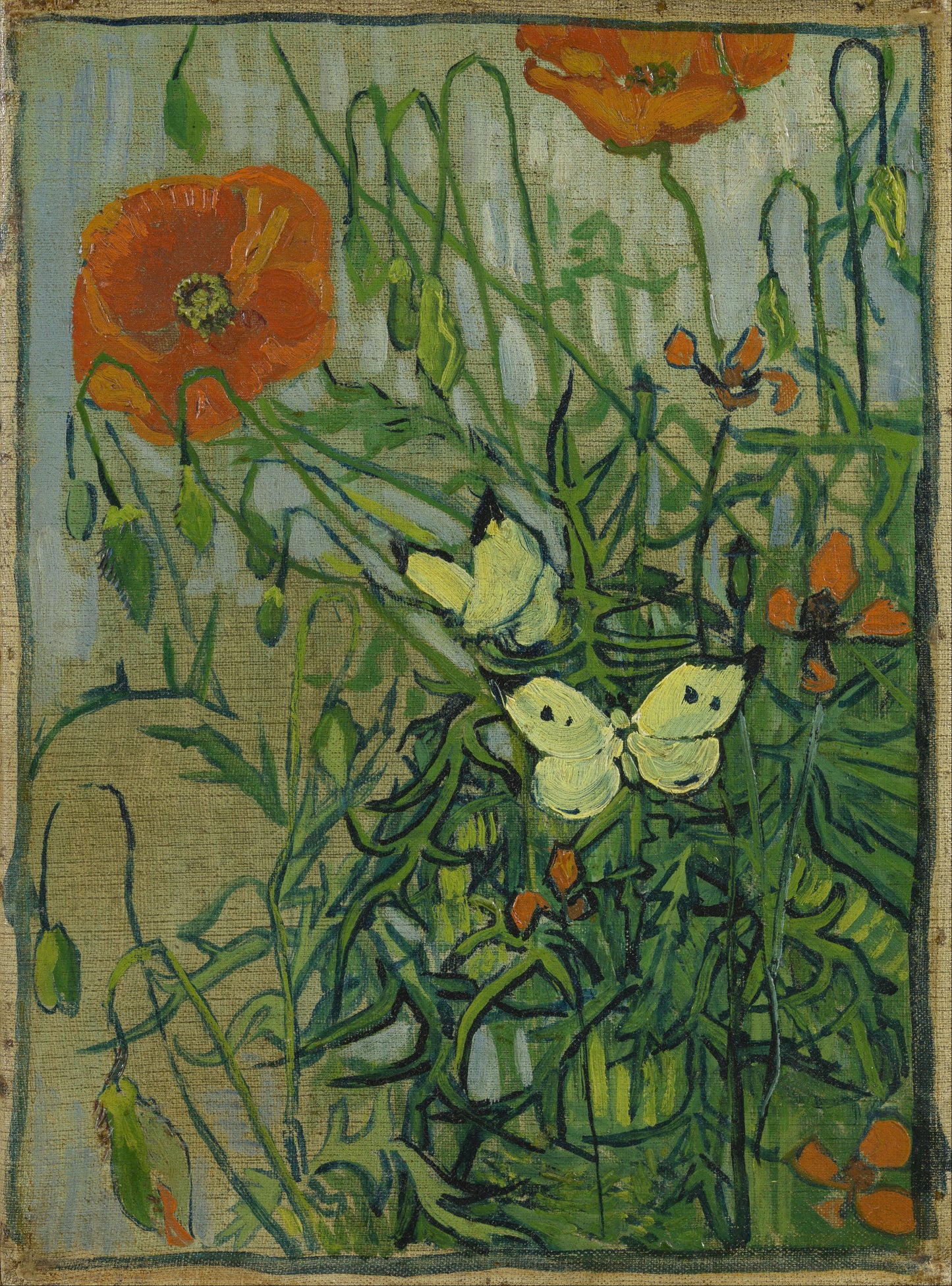 🦋 Motýli a máky – Vincent van Gogh (1890)