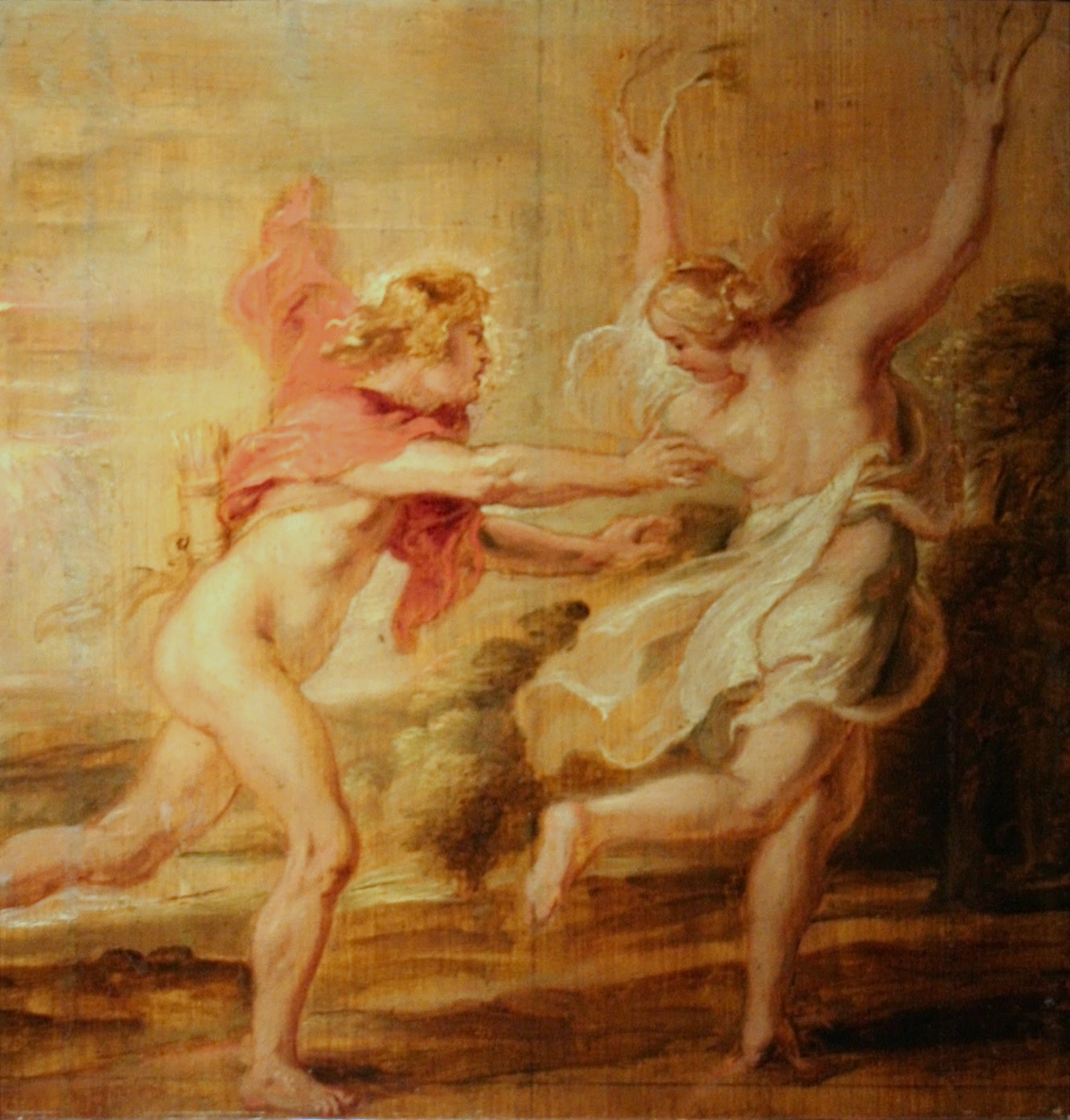 Apollon et Daphné - Peter Paul Rubens