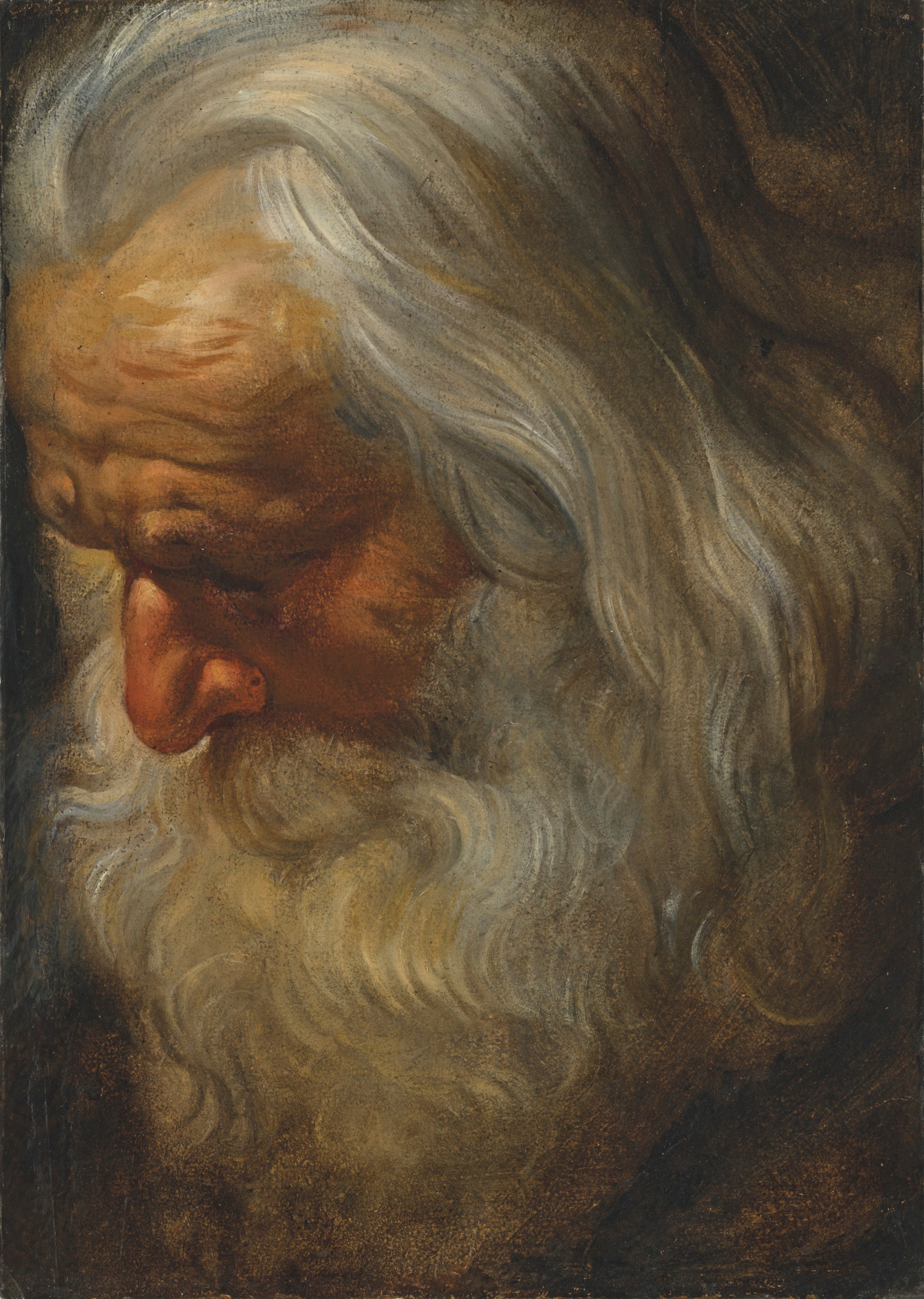 Étude de tête d'un vieil homme barbu - Peter Paul Rubens