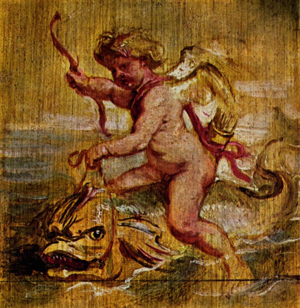 Cupidon chevauchant un dauphin - Peter Paul Rubens