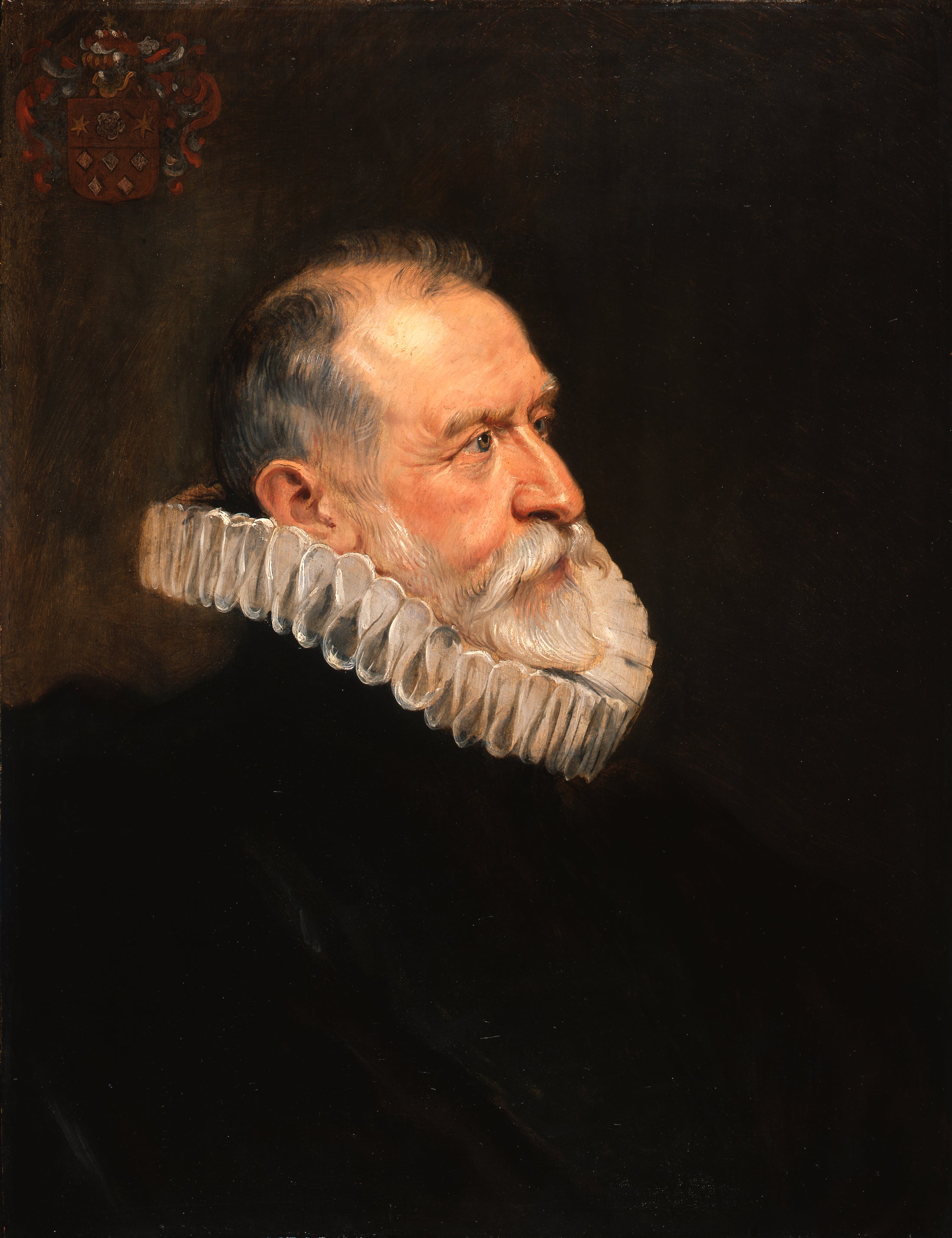 Portrait d'un vieil homme - Peter Paul Rubens