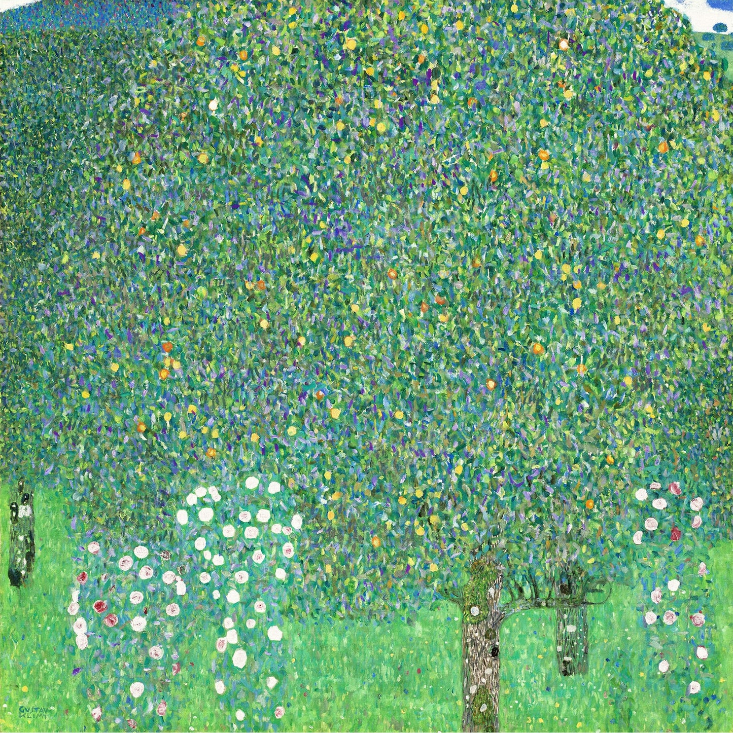 🌳🌸 Růže pod stromy – Gustav Klimt (1905)