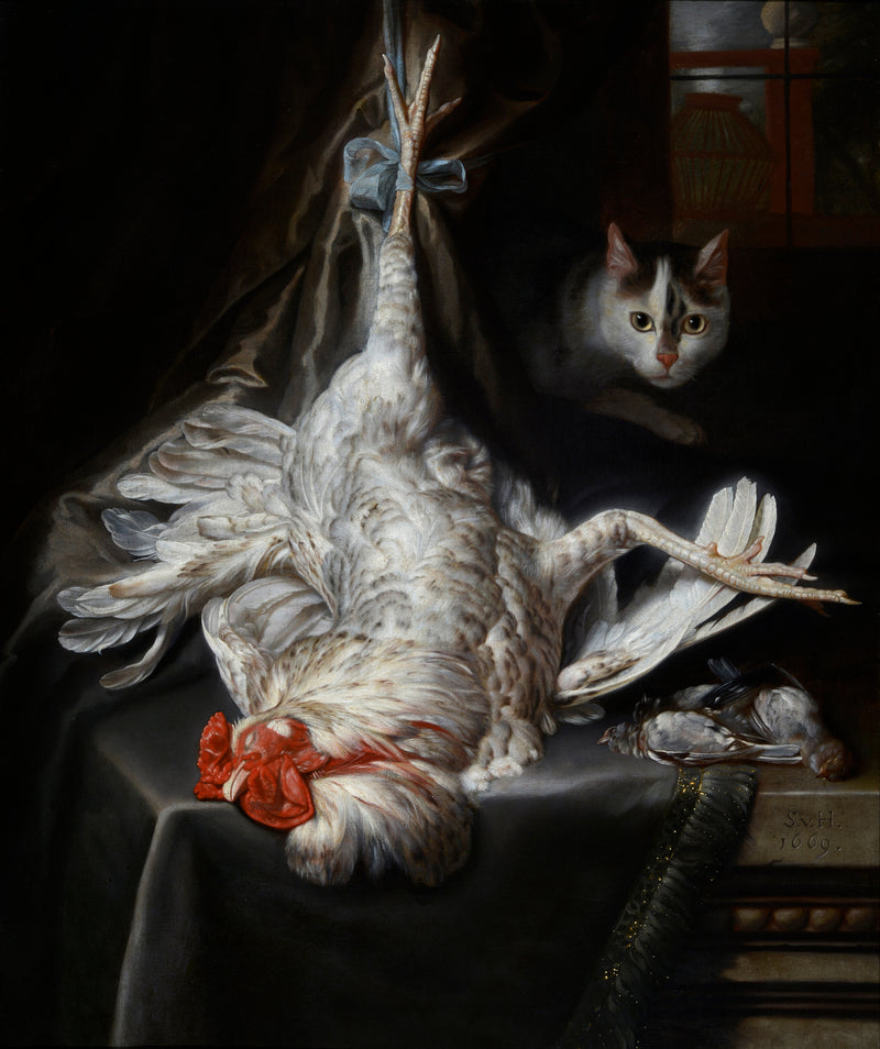 Nature morte d'oiseaux avec chat - Samuel van Hoogstraten