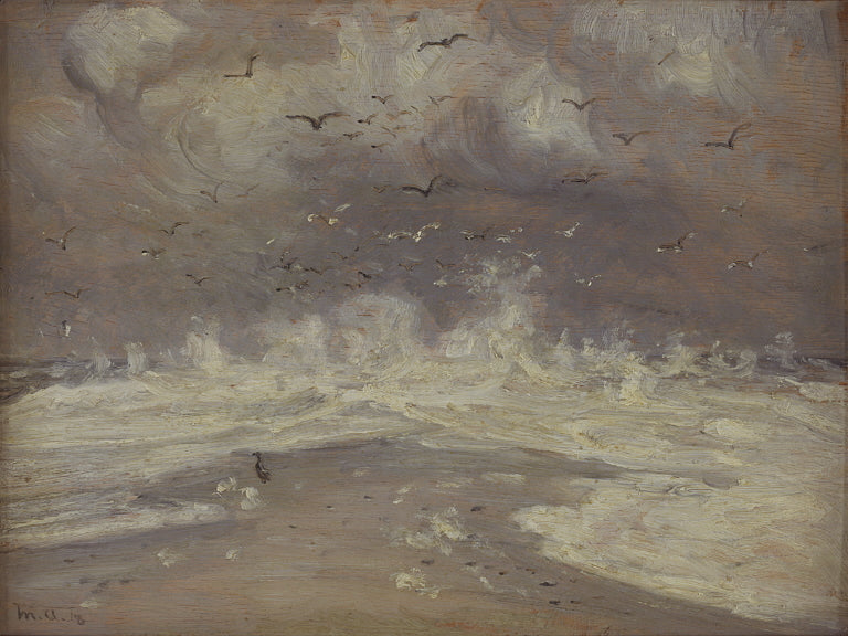 Surf sur la côte nord du Jutland - Michael Peter Ancher