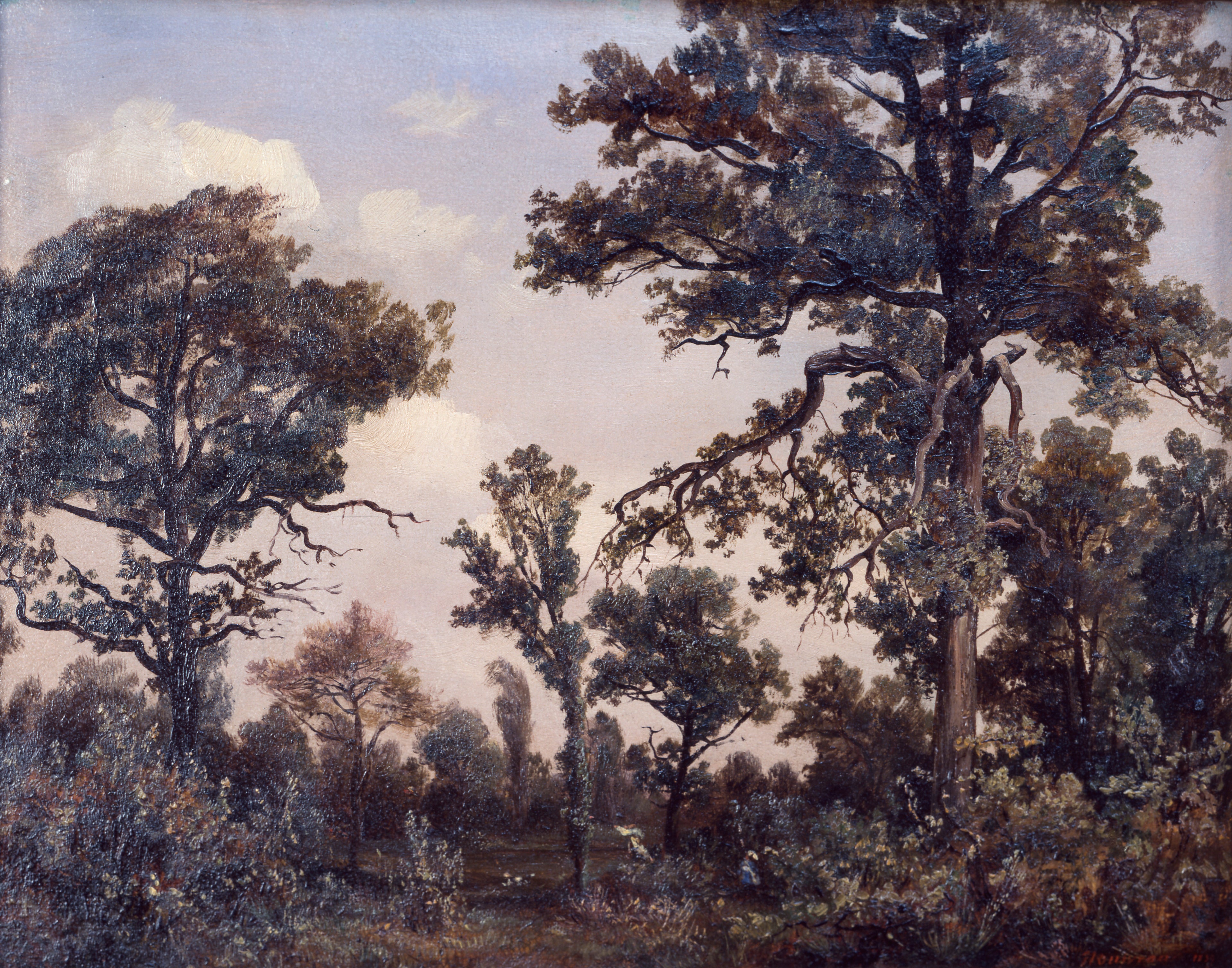 Le grand chêne, forêt de Fontainebleau - Théodore Rousseau