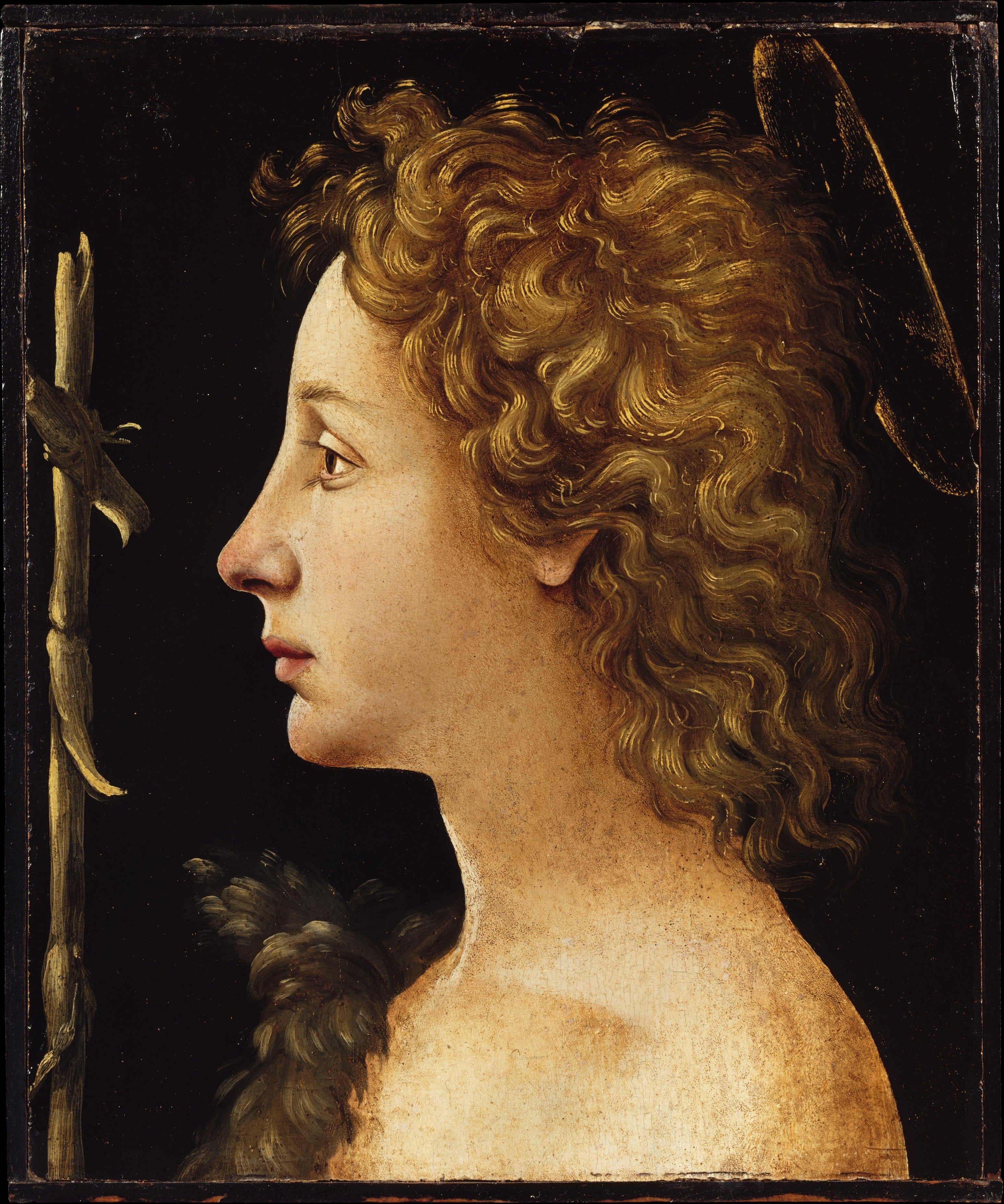 Saint Jean-Baptiste - Piero di Cosimo