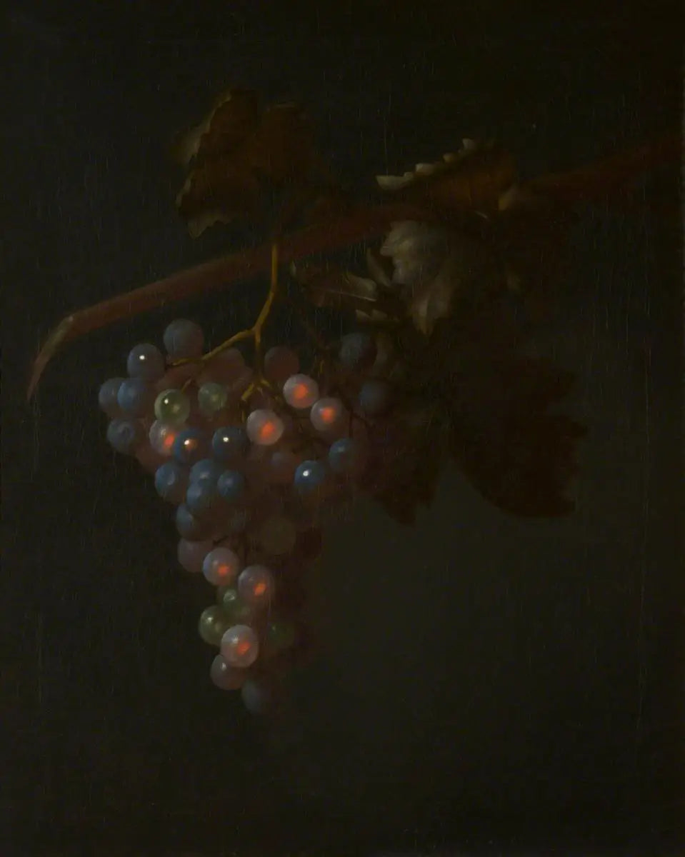 Une grappe de raisin - Tobias Stranover - Alpha Reproduction