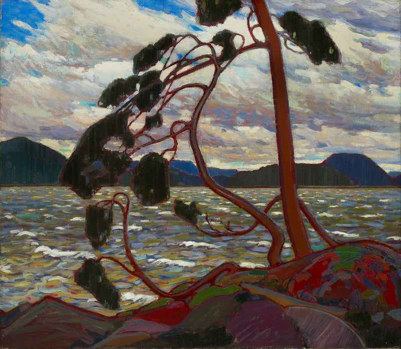 Západní vítr - Tom Thomson