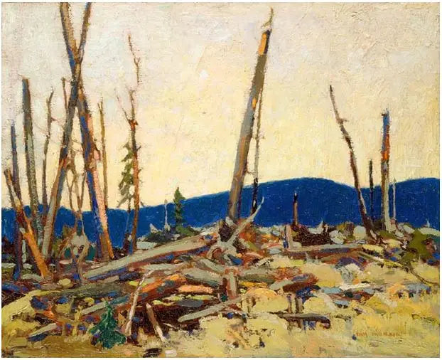 Spálená země - Tom Thomson