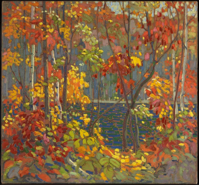 Bazén - Tom Thomson