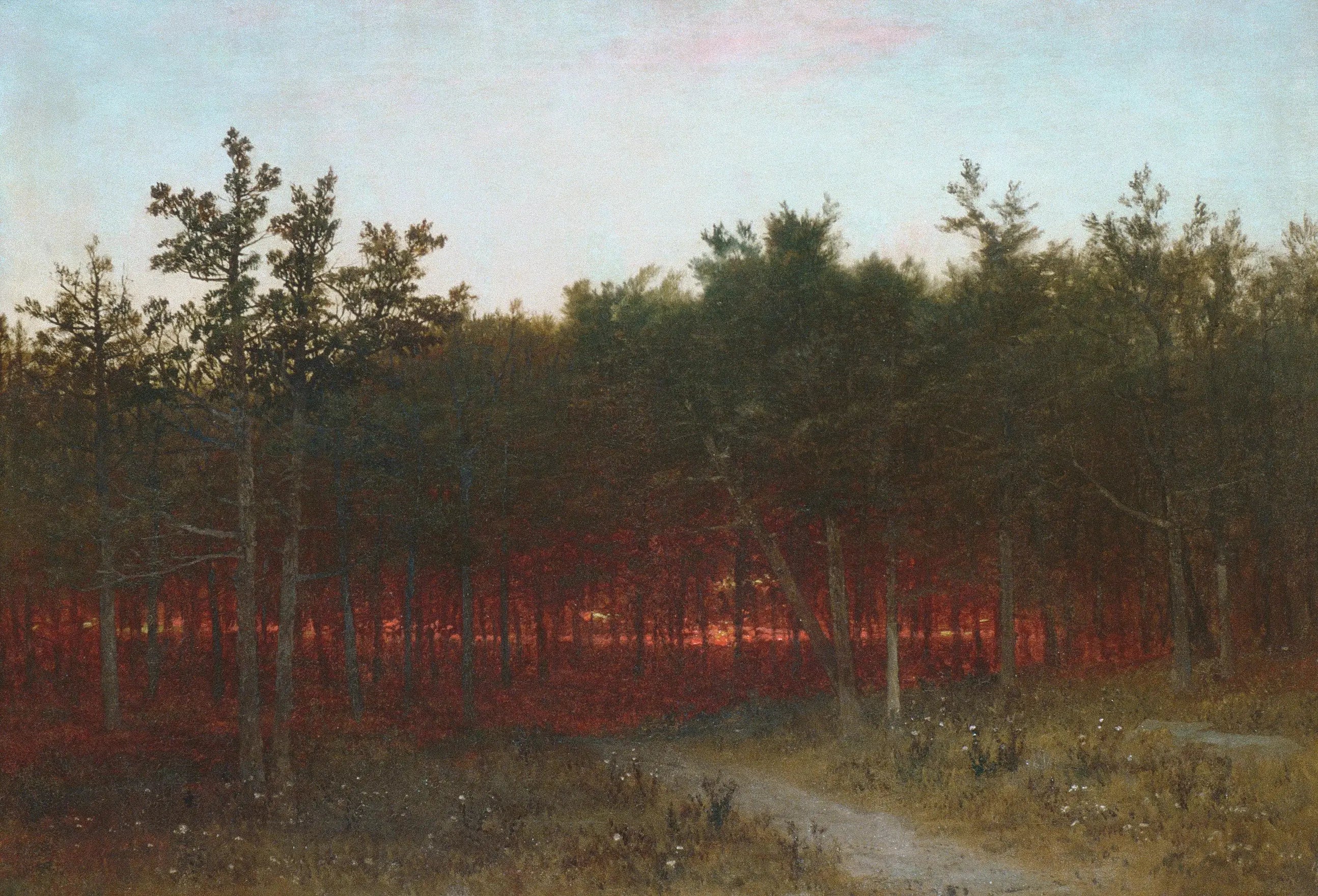 Crépuscule dans les cèdres à Darien Connecticut - John Frederick Kensett - Alpha Reproduction