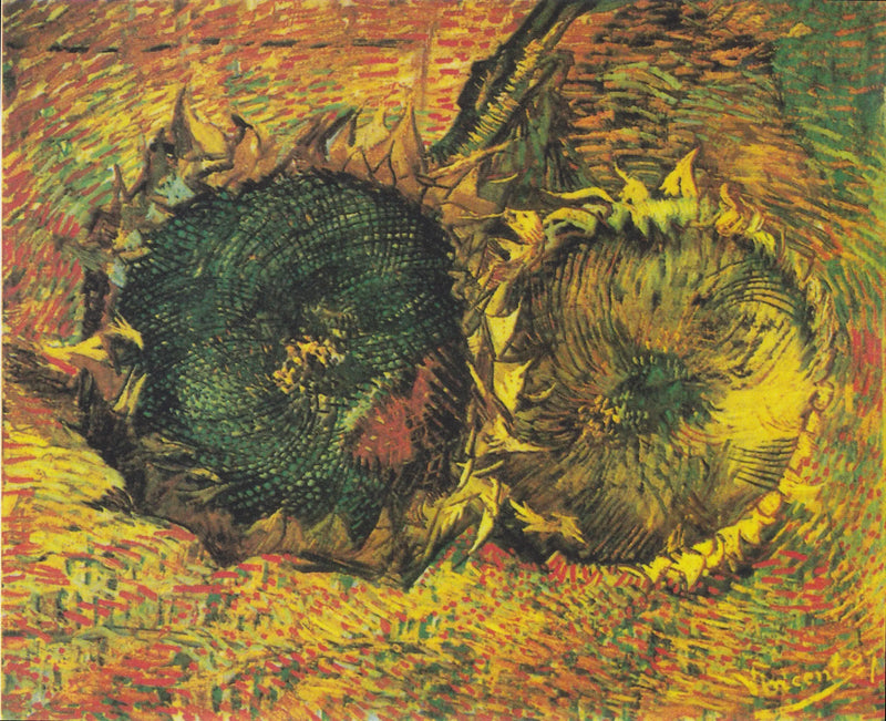 Dva řezané slunečnice - Vincent van Gogh