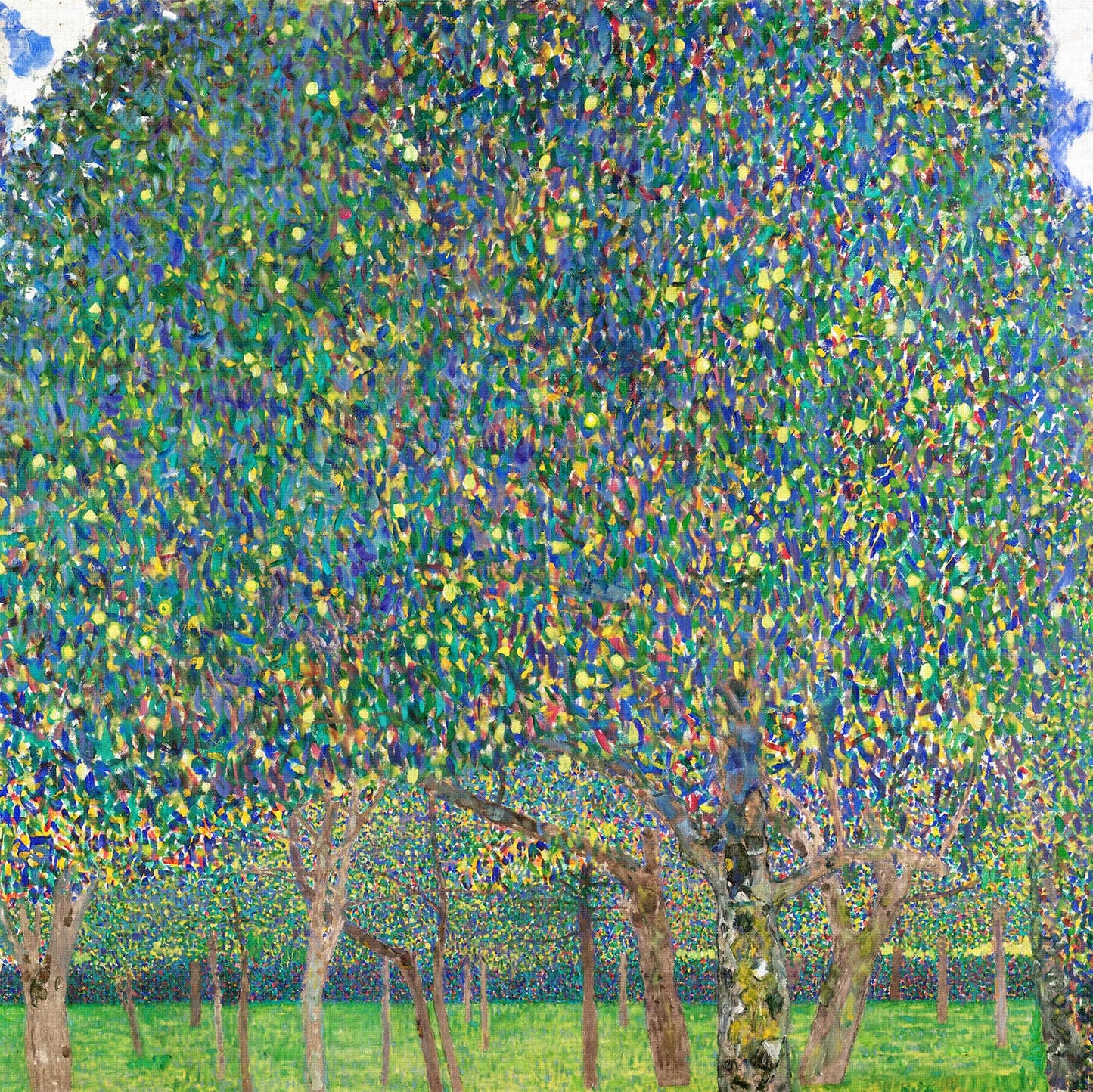 🌳 Ovocné sady – Gustav Klimt (kolem roku 1905)