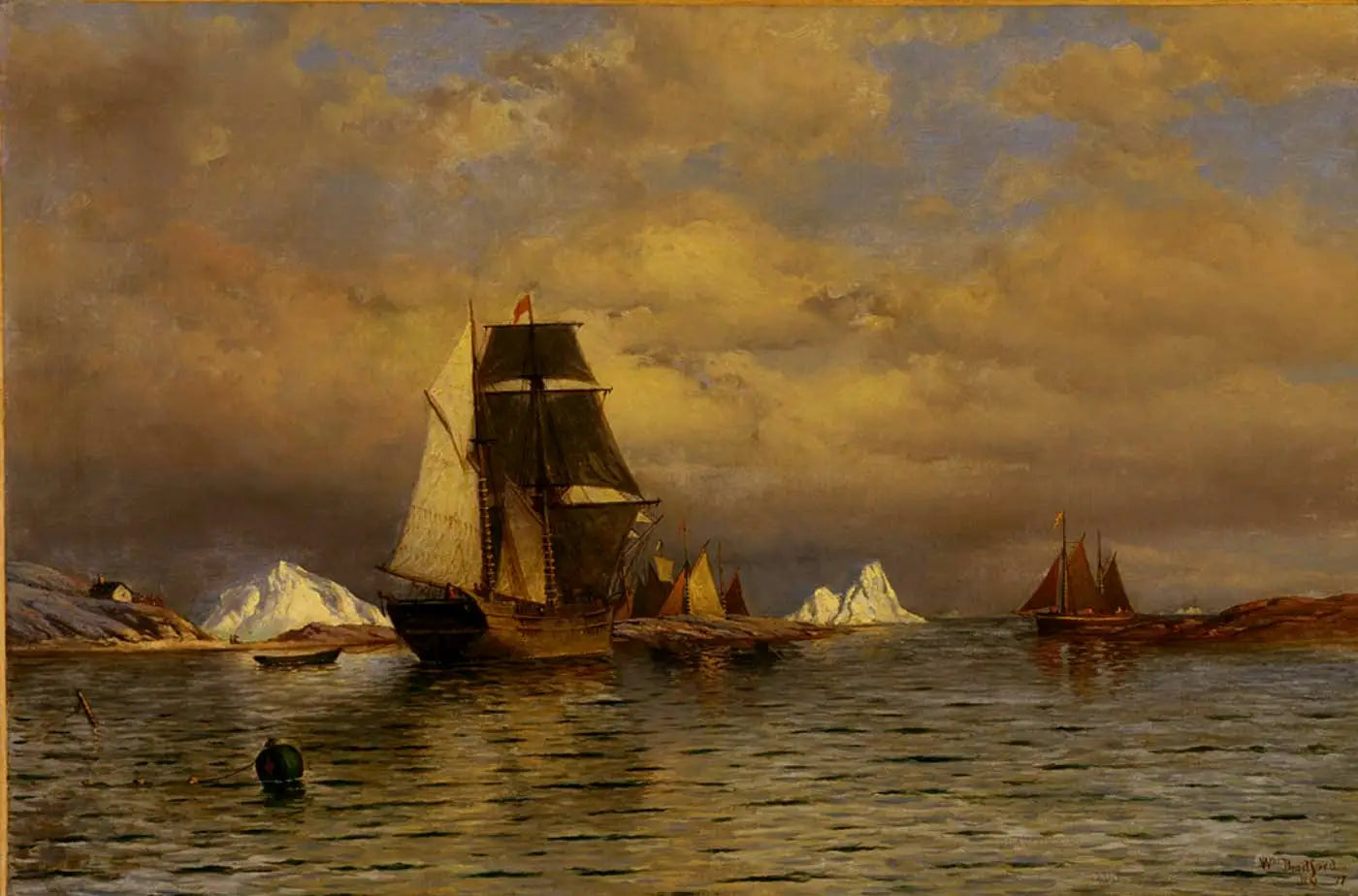 Vue depuis Battle Harbour - William Bradford - Alpha Reproduction
