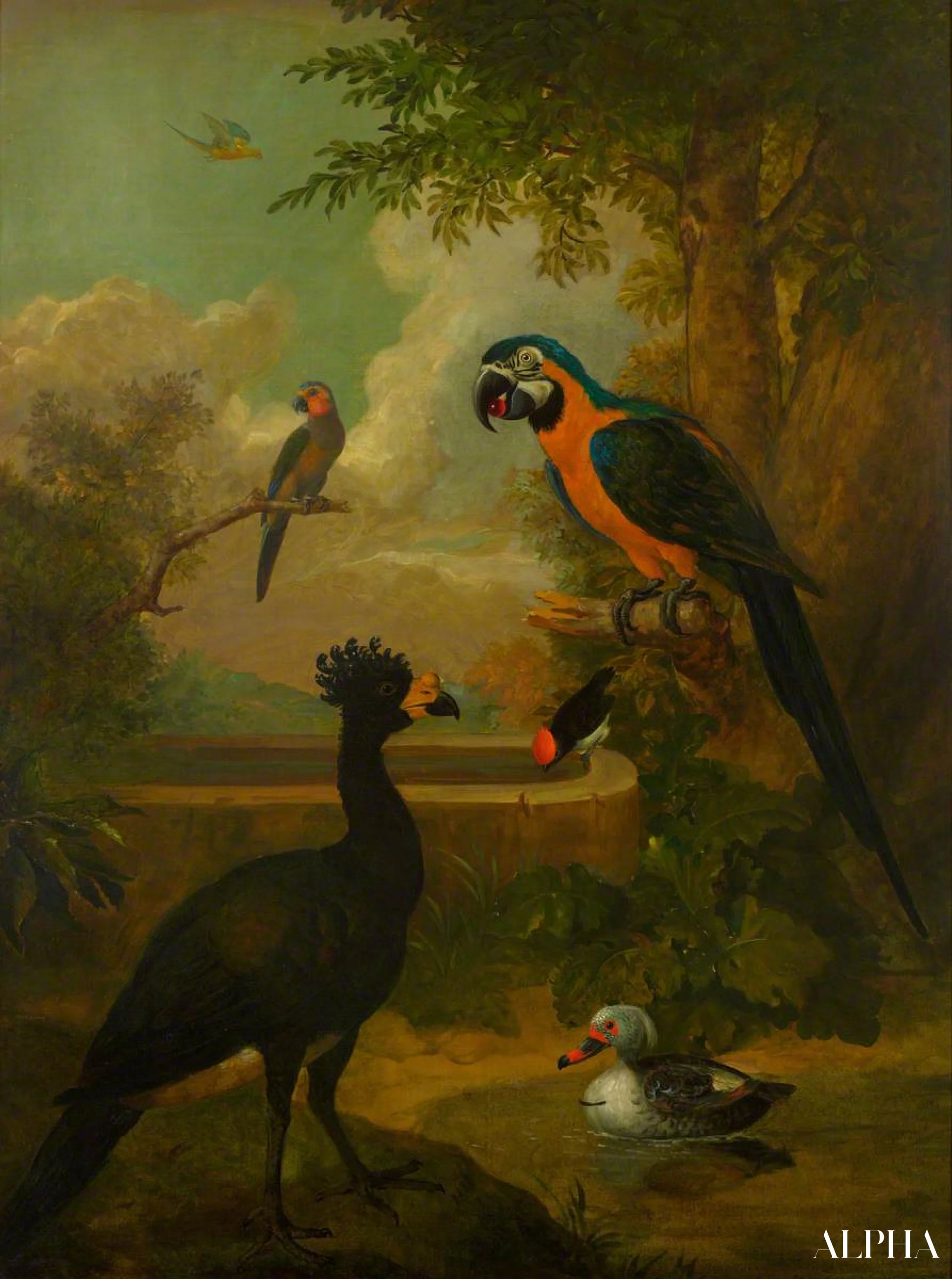 Aras et autres oiseaux dans un paysage - Tobias Stranover - Reproductions de tableaux et peintures haut de gamme