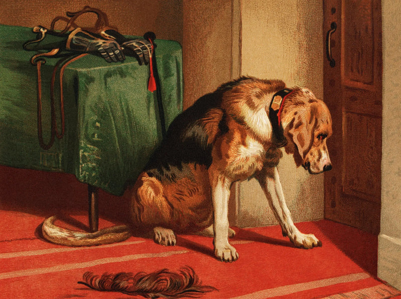 Čekání - Edwin Henry Landseer