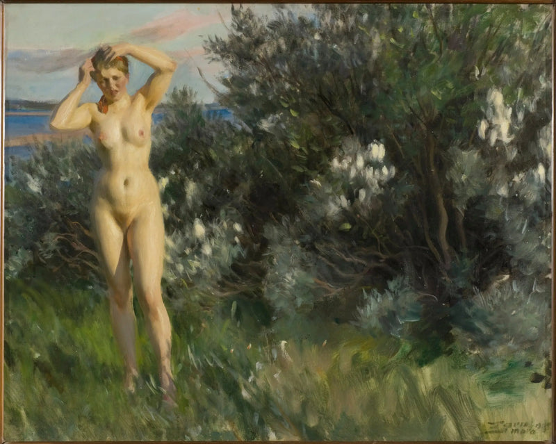 U břehu jezera Siljan - Anders Zorn