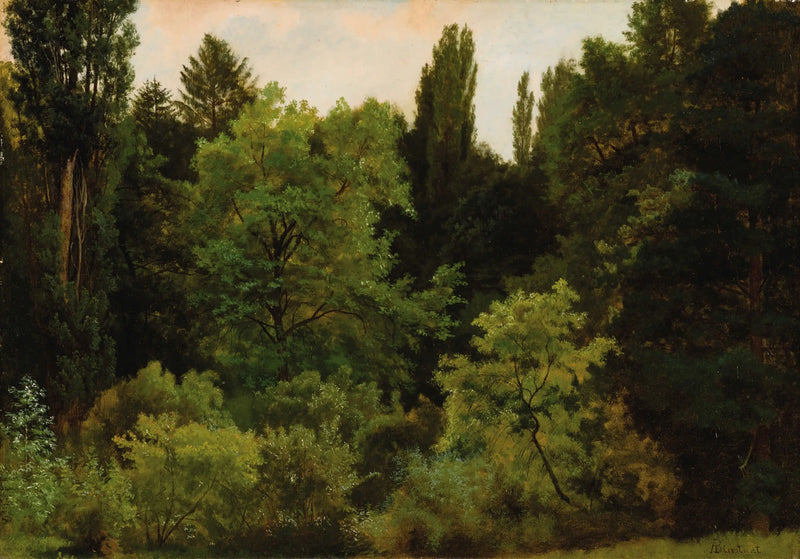 U srdce Skalistých hor - Albert Bierstadt