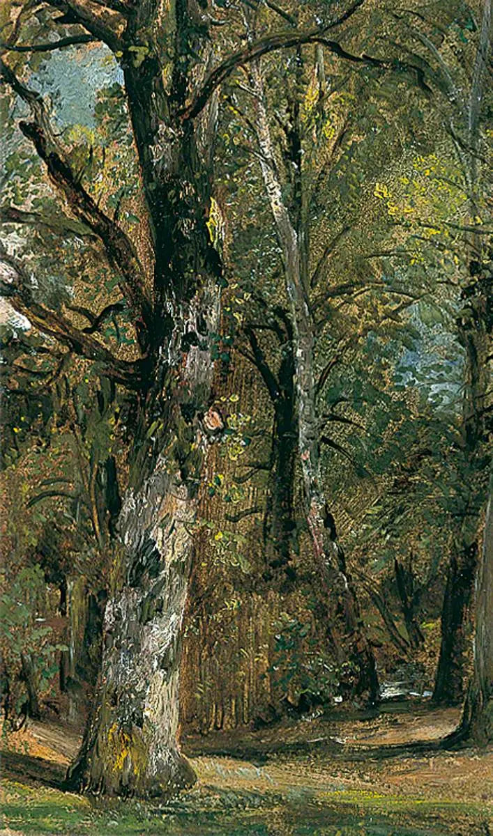 Alej stromů - John Constable