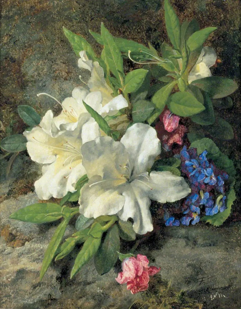 Bílá azalée - Henri Fantin-Latour