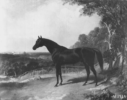 Bagdad - John Frederick Herring Snr - Reproductions de tableaux et peintures haut de gamme