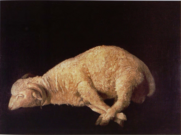 Beran s přivázanýma nohama - Francisco de Zurbarán